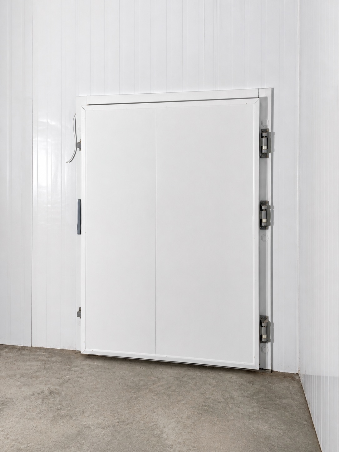 Cámara de frío con puerta reforzada